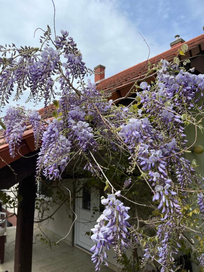 Helium Apartman Hévíz Eksteriør bilde